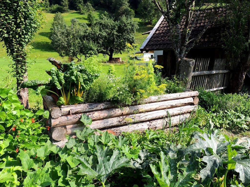 Forsthof Séjour à la ferme