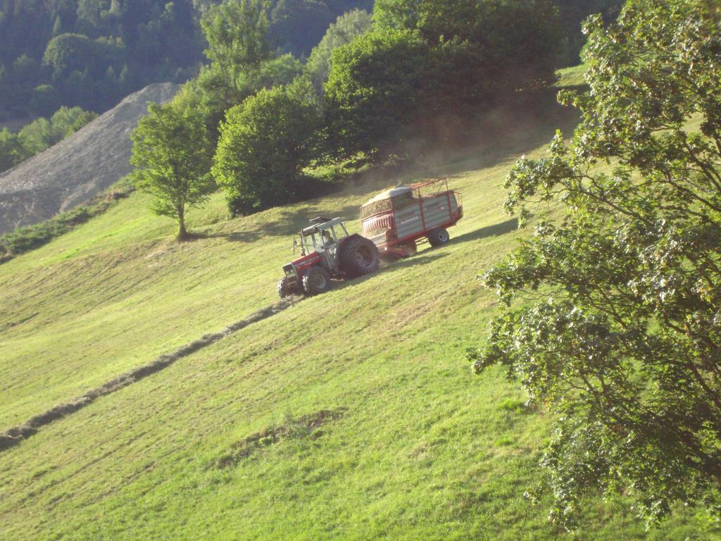 Séjour à la ferme Forsthof
