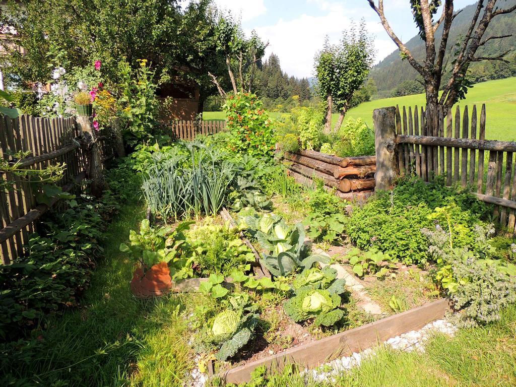 Farm stay Forsthof Maishofen