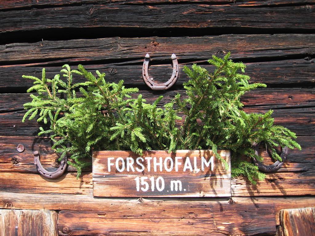 Farm stay Forsthof *